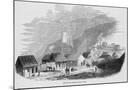 Wood Mount
