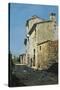 Around Florence, Rustic Houses-Telemaco Signorini-Stretched Canvas