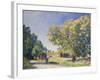 Around the Forest, a Clearing; Autour De La Foret, Une Clairiere, 1895-Alfred Sisley-Framed Giclee Print