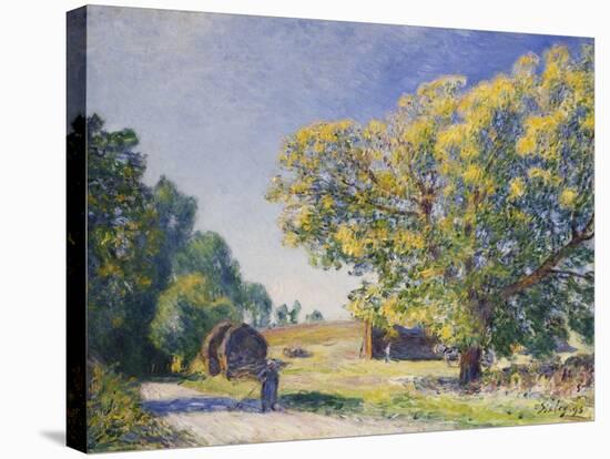 Around the Forest, a Clearing; Autour De La Foret, Une Clairiere, 1895-Alfred Sisley-Stretched Canvas