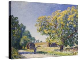 Around the Forest, a Clearing; Autour De La Foret, Une Clairiere, 1895-Alfred Sisley-Stretched Canvas