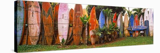 Arranged Surfboards, Maui, Hawaii, USA-null-Stretched Canvas