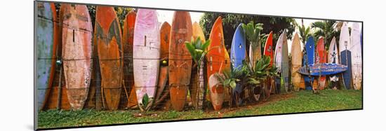 Arranged Surfboards, Maui, Hawaii, USA-null-Mounted Photographic Print