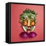 Arranged Vegetables Creating a Face-DLILLC-Framed Stretched Canvas