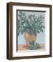 Arrangement III-Tim OToole-Framed Art Print