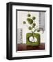 Arrangement in Green II-Karsten Kirchner-Framed Art Print