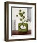 Arrangement in Green II-Karsten Kirchner-Framed Art Print