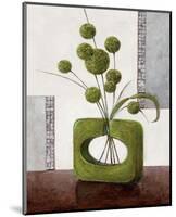 Arrangement in Green II-Karsten Kirchner-Mounted Art Print