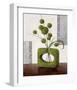 Arrangement in Green II-Karsten Kirchner-Framed Art Print