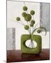 Arrangement in Green II-Karsten Kirchner-Mounted Art Print