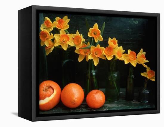 Arrangement of Daffodils and Oranges-Michelle Garrett-Framed Stretched Canvas