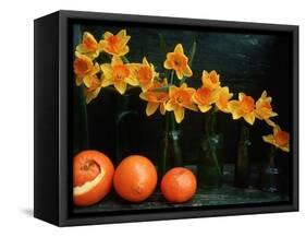 Arrangement of Daffodils and Oranges-Michelle Garrett-Framed Stretched Canvas