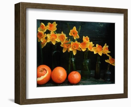 Arrangement of Daffodils and Oranges-Michelle Garrett-Framed Photographic Print