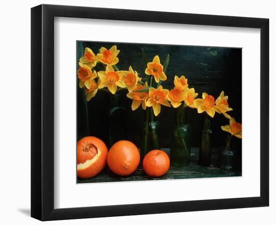 Arrangement of Daffodils and Oranges-Michelle Garrett-Framed Photographic Print