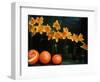 Arrangement of Daffodils and Oranges-Michelle Garrett-Framed Photographic Print