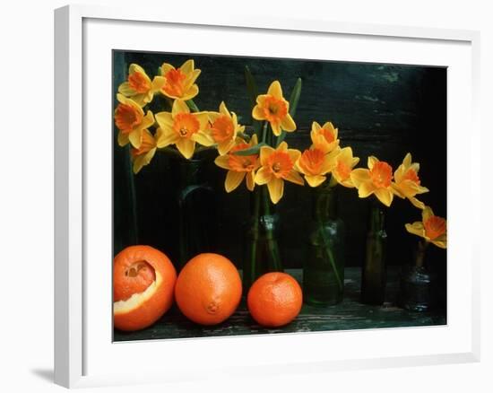 Arrangement of Daffodils and Oranges-Michelle Garrett-Framed Photographic Print