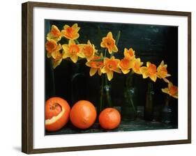 Arrangement of Daffodils and Oranges-Michelle Garrett-Framed Photographic Print