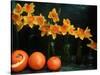 Arrangement of Daffodils and Oranges-Michelle Garrett-Stretched Canvas