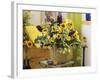 Arrangement of Delphiniums, Sunflowers and Coreopsis-Friedrich Strauss-Framed Photographic Print