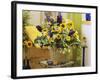 Arrangement of Delphiniums, Sunflowers and Coreopsis-Friedrich Strauss-Framed Photographic Print