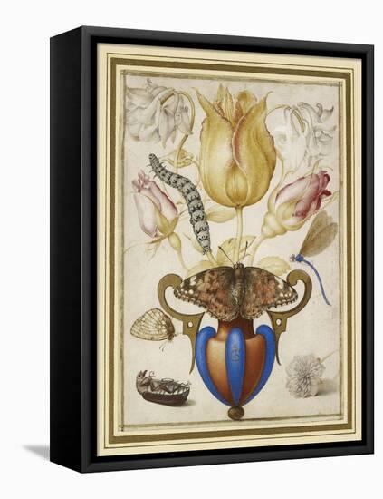 Arrangement of Flowers in a Vase, with Insects, 1594 (Watercolour with Gold on Vellum)-Joris Hoefnagel-Framed Stretched Canvas