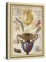 Arrangement of Flowers in a Vase, with Insects, 1594 (Watercolour with Gold on Vellum)-Joris Hoefnagel-Stretched Canvas