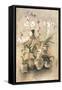 Arrangement of Orchids I-Cheri Blum-Framed Stretched Canvas