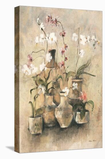 Arrangement of Orchids I-Cheri Blum-Stretched Canvas
