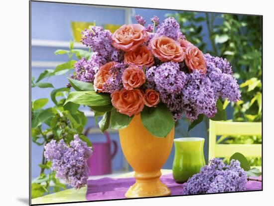 Arrangement of Roses and Lilac-Friedrich Strauss-Mounted Photographic Print