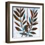 Arrangements 1-Smith Haynes-Framed Art Print