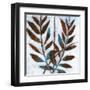 Arrangements 1-Smith Haynes-Framed Art Print