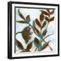 Arrangements 5-Smith Haynes-Framed Art Print