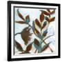 Arrangements 5-Smith Haynes-Framed Art Print