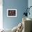 Array of Pots and Pans Used for Cooking Incl. a Baking Dish for Turkey-John Dominis-Framed Photographic Print displayed on a wall