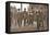 Arrest of Miss Dora Marsden Outside the Victoria University of Manchester, 4th October 1909-English Photographer-Framed Stretched Canvas