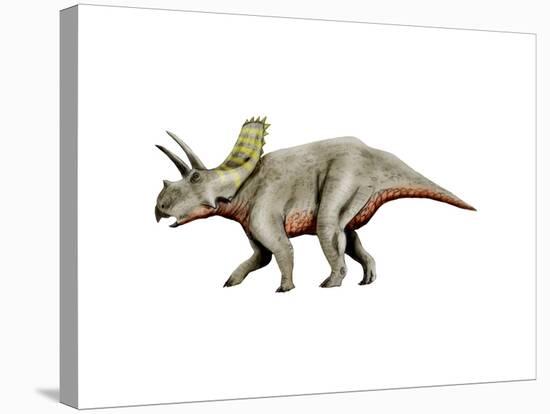 Arrhinoceratops Dinosaur-null-Stretched Canvas