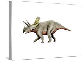 Arrhinoceratops Dinosaur-null-Stretched Canvas