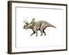 Arrhinoceratops Dinosaur-null-Framed Art Print
