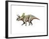 Arrhinoceratops Dinosaur-null-Framed Art Print