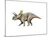 Arrhinoceratops Dinosaur-null-Mounted Art Print