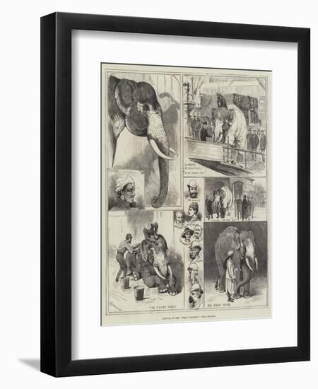 Arrival of the White Elephant from Burmah-Alfred Courbould-Framed Premium Giclee Print