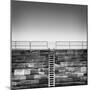 Arrival-Doug Chinnery-Mounted Photographic Print