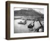 Arriving in Skagway-null-Framed Photographic Print