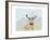 Arrogant Stag-Reza Farazmand-Framed Art Print