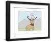 Arrogant Stag-Reza Farazmand-Framed Art Print