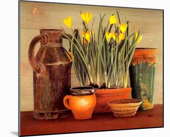 Arrosoir et Crocus-Laurence David-Mounted Art Print