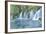 Arrow Bamboo Lake Waterfalls, Jiuzhaigou National Park, Sichuan Province, China, Asia-G & M Therin-Weise-Framed Photographic Print