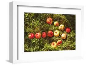 Arrow from Apples Instagram Style-KatyaShut-Framed Photographic Print