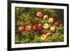 Arrow from Apples Instagram Style-KatyaShut-Framed Photographic Print