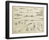 Arrow Schematic II-Ethan Harper-Framed Art Print